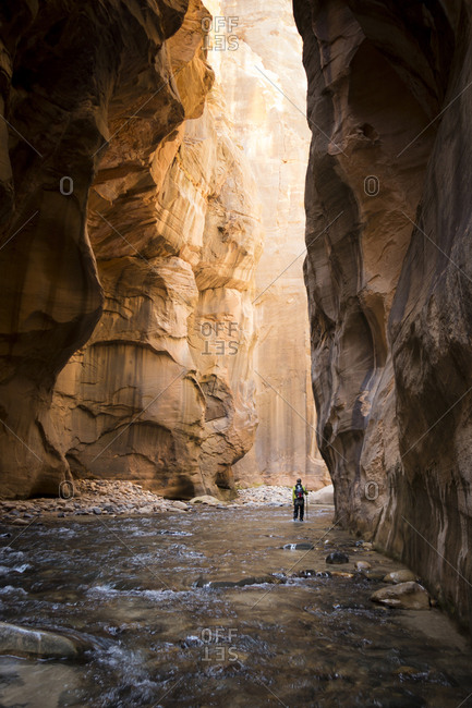 A woman wades through the Narrows in a dry suit in Zion National Park.