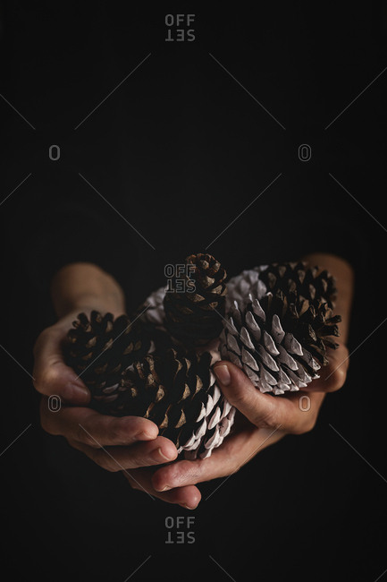 Anonymous person demonstrating handful of painted confer cones during Christmas celebration against black background