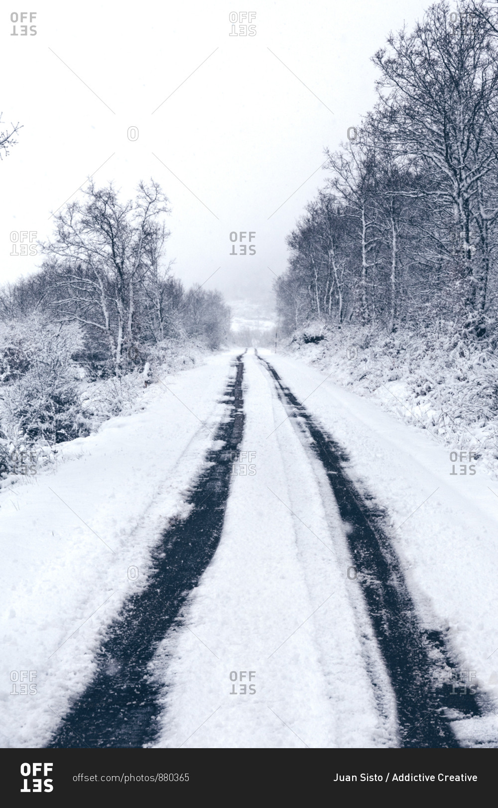 Snow covered empty country road with traces of cars leading away and forest along roadway in cloudy gloomy winter day