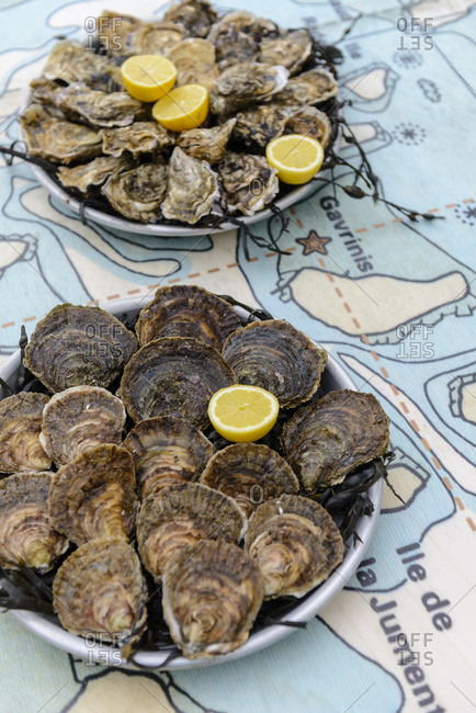 Oysters plate in Baden, Morbihan, France