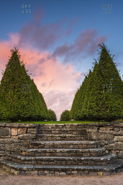 Stone steps in garden with topiary tree on background