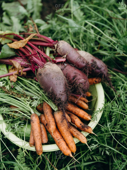 A basket with organic vegetables