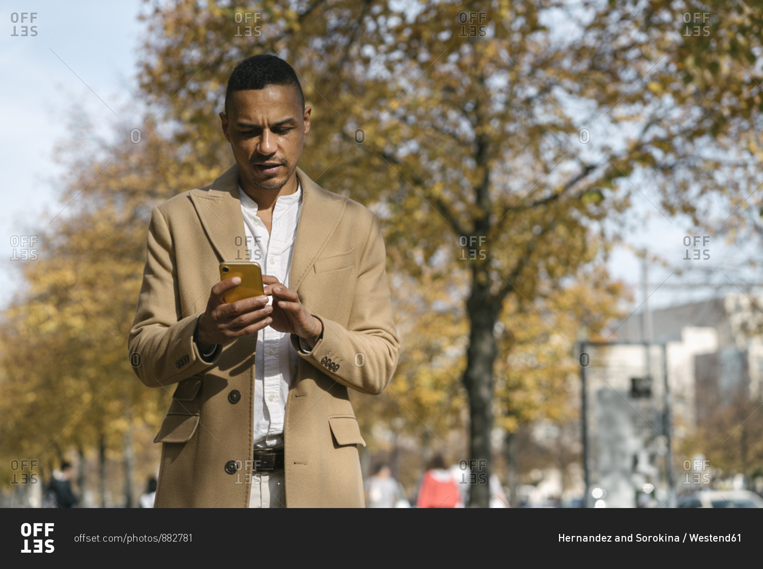 Portrait of businessman looking at cell phone in autumn