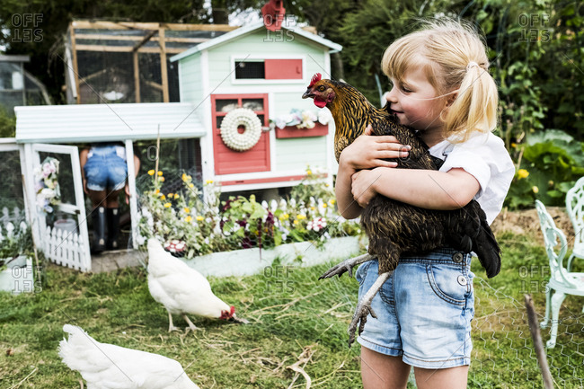 New Girls in the Hen House » Natural Chicken Health