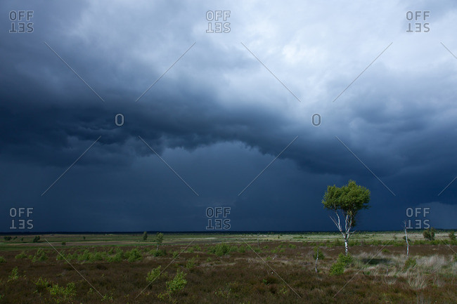 Storm clouds over the lueneburg heath