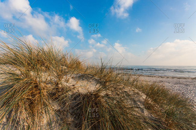 On the beach of juliusruh, baltic sea, Rugen, mecklenburg-west pomerania, Germany