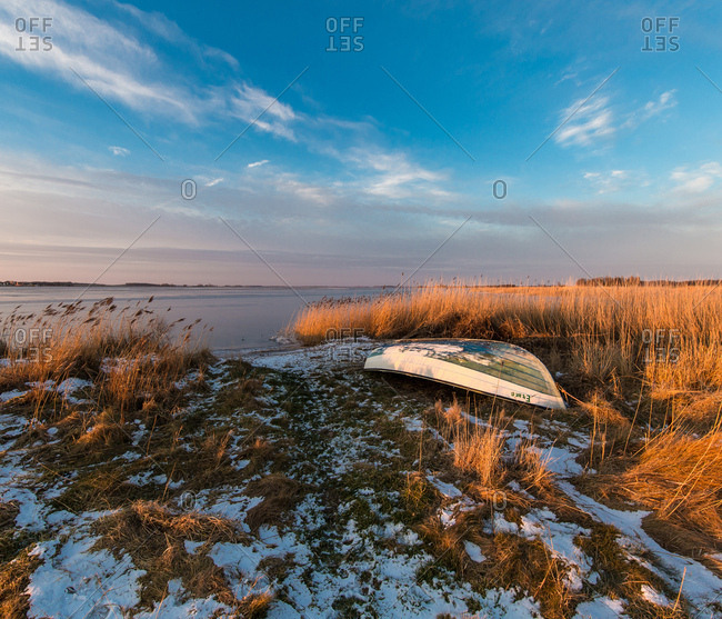 February 11, 2017: Reed on the shore in frost and sundown, Rugen, mecklenburg-west pomerania, Germany