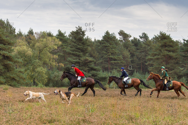 September 7, 2013: Horseback hunting after the cry of hounds