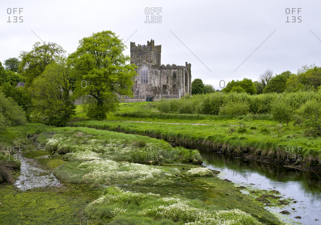 Ireland, county wexford, tintern abbey on hook peninsula, cistercian monastery from the 12th century