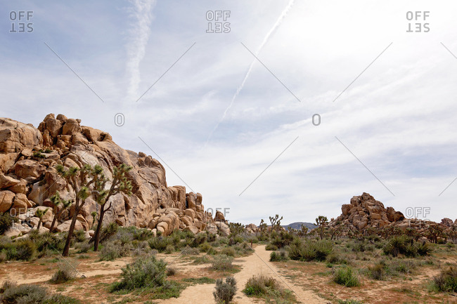 Rock formations and Joshua trees in desert setting