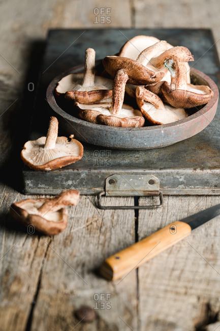 High angle of freshly collected brown mushrooms Shiitake in gray bowl on rusty metallic tray on shabby rustic wooden table