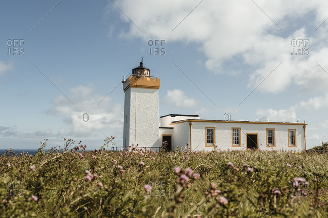 From below of white lighthouse with buildings surrounded by field with pink flowers on Scottish coast on summer day with white clouds on blue sky
