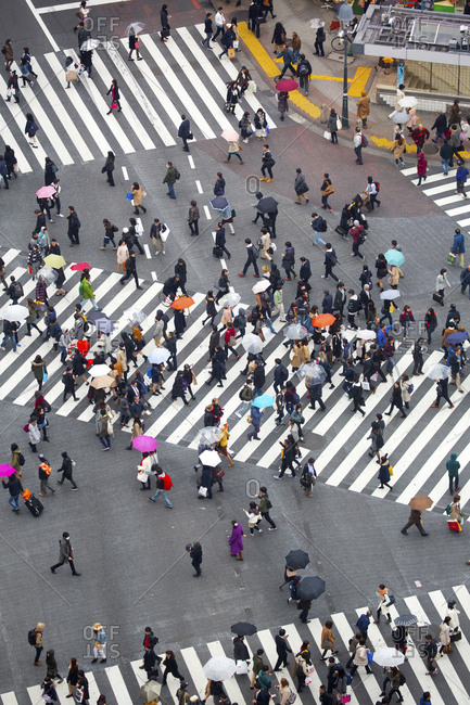 Timelapse of crowds of people crossing roads in Shibuya district