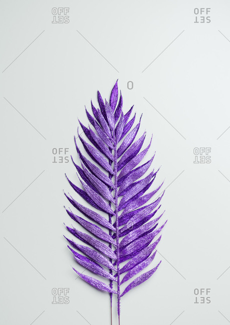 Purple painted decorative leaves