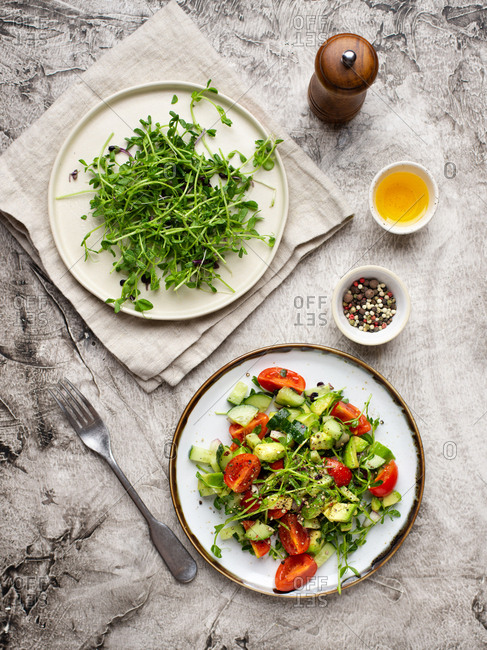 Vegetable salad with fresh tomatoes, avocado, cucumber and greens