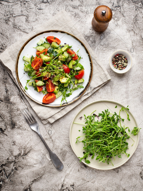 Vegetable salad with fresh tomatoes, avocado, cucumber and greens