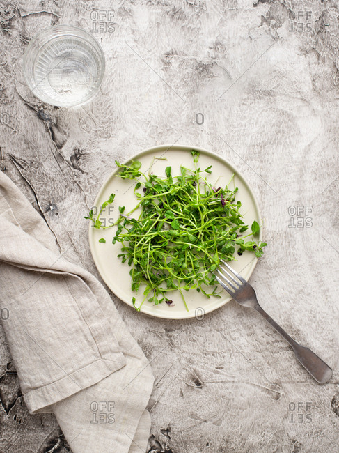Vegetable salad with green peas sprouts and glass of water