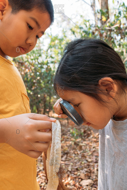 Brother and sister see the molt of a snake with a magnifying glass