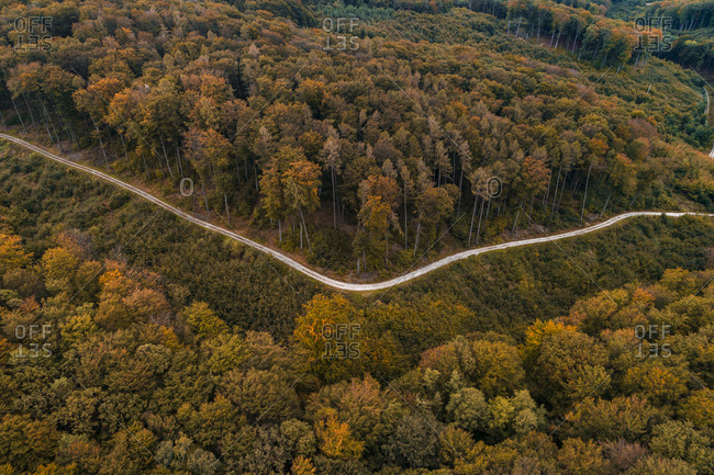 Austria- Lower Austria- Aerial view of winding gravel road through vast autumn forest