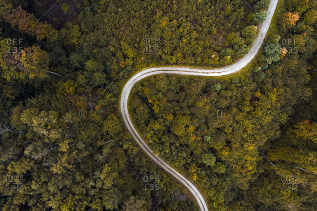 Austria- Lower Austria- Aerial view of winding gravel road through vast autumn forest