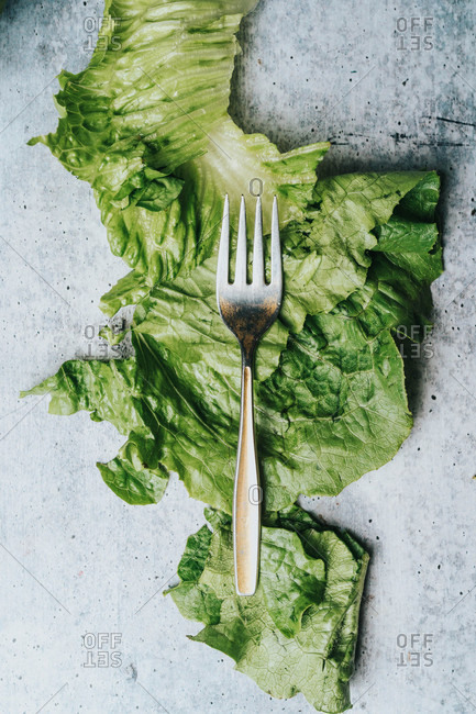 Overhead view of fork and lettuce