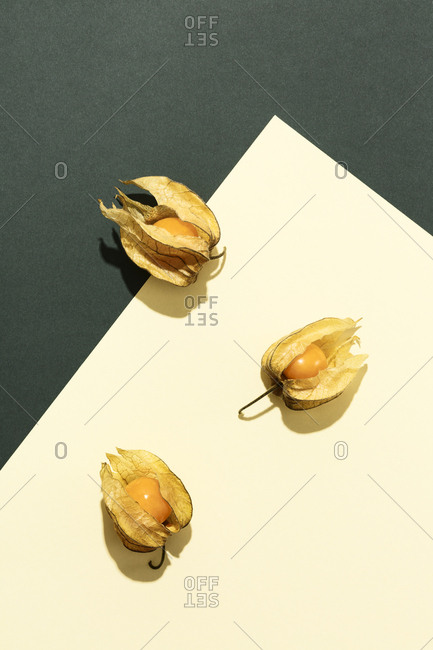 Composition with Physalis on green and cream yellow background