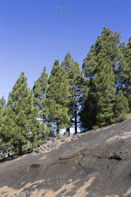 the dark lava sand land of Llano del Jable, behind the Caldera de Taburiente, La Palma, Canary islands, Spain