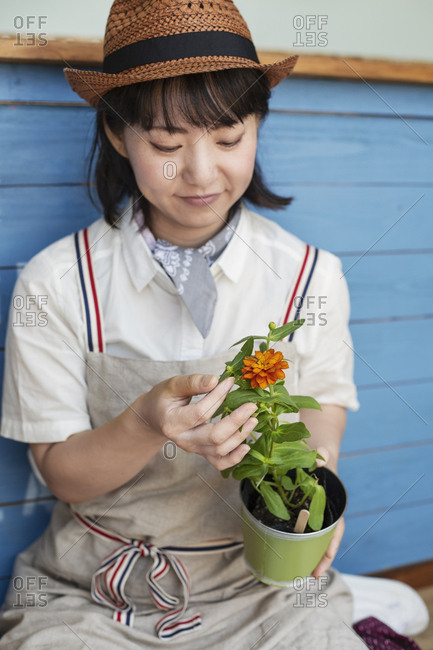 Japanese woman sitting outside a farm shop, planting flowers into flower pots.
