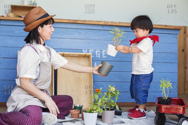 Japanese woman wearing hat and boy sitting outside a farm shop, planting flowers into flower pots.