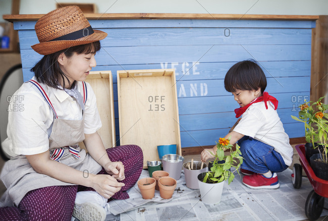 Japanese woman wearing hat and boy sitting outside a farm shop, planting flowers into flower pots.