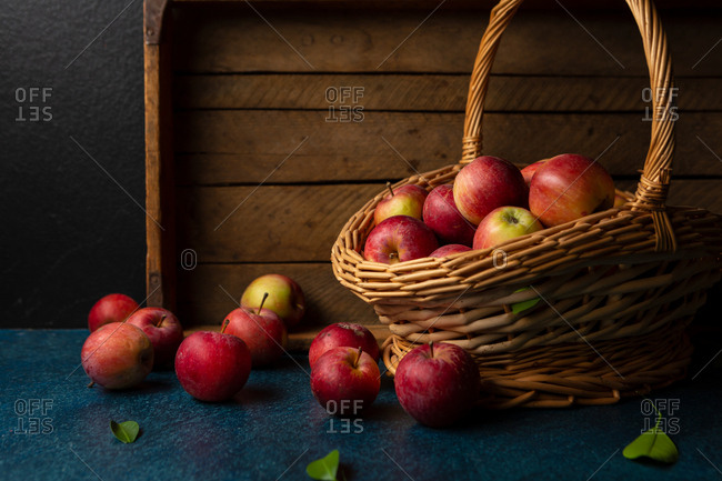 Fresh picked apples in basket