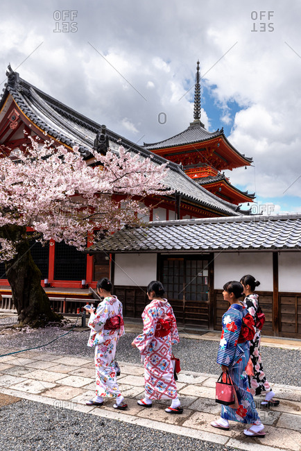 Kyoto, Japan - April, 11. 2019: Four young women wearing kimonos walking in front of Kiyomizu-dera temple.