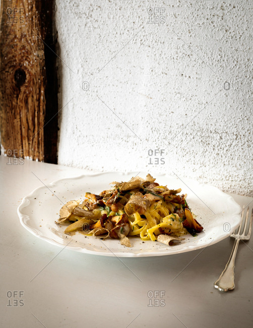 Gourmet pasta dish in front of white textured wall