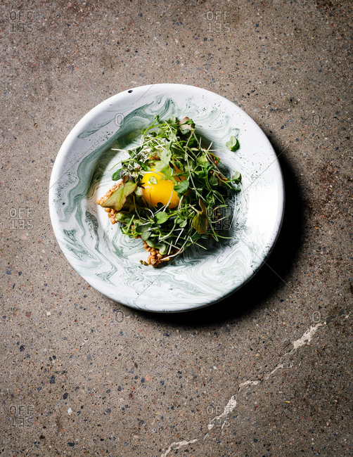 Gourmet dish with egg and microgreens from above