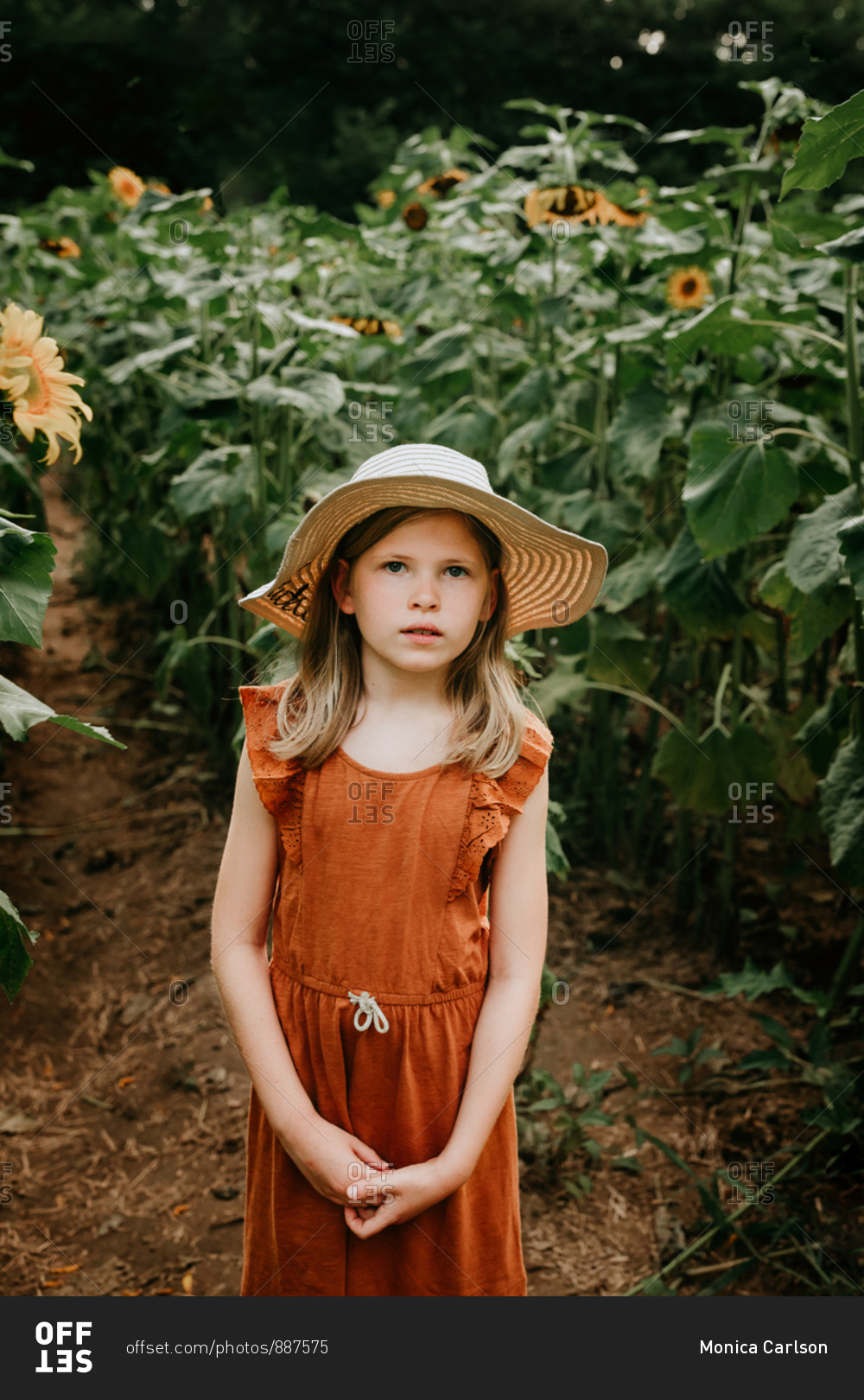 Young girl in a sunflower field