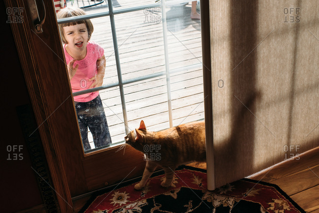 Little girl looking in from outside while a cat looks out