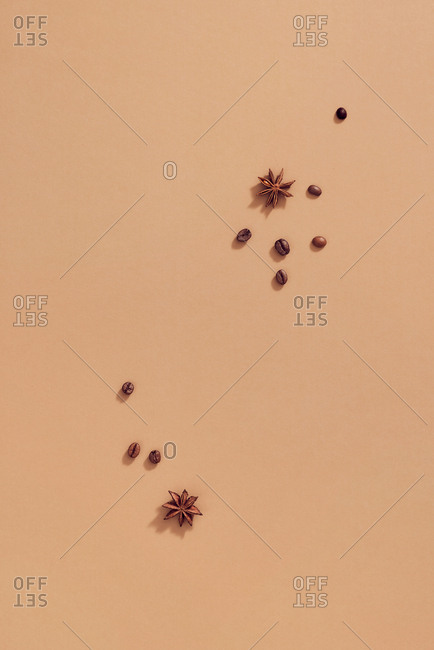 Coffee beans with star anise. Top view.
