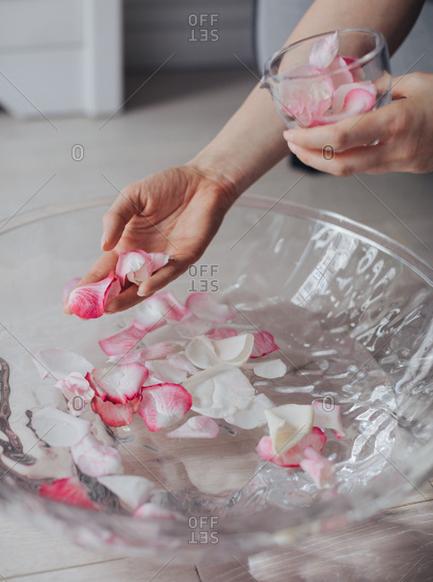 Hand of unrecognizable woman holding rose petals for spa bath.
