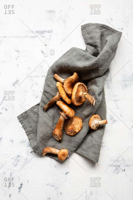 Honey mushrooms on a gray towel on a light textured background