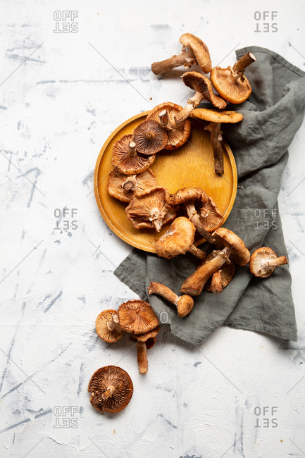 Honey mushrooms on a yellow plate on a light textured background