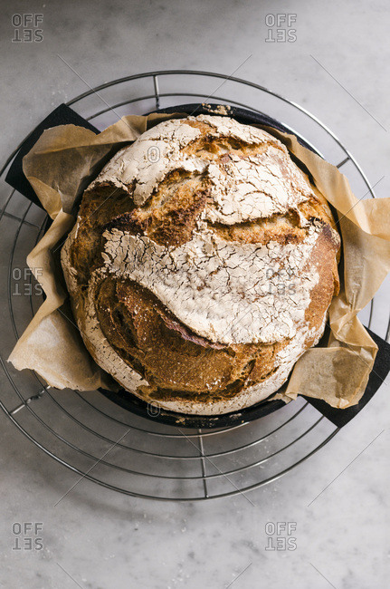 Whole Wheat Sourdough Bread - Offset