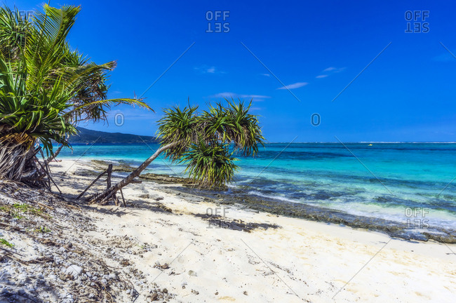 Vanuatu- Mystery Island- beach- south pacific