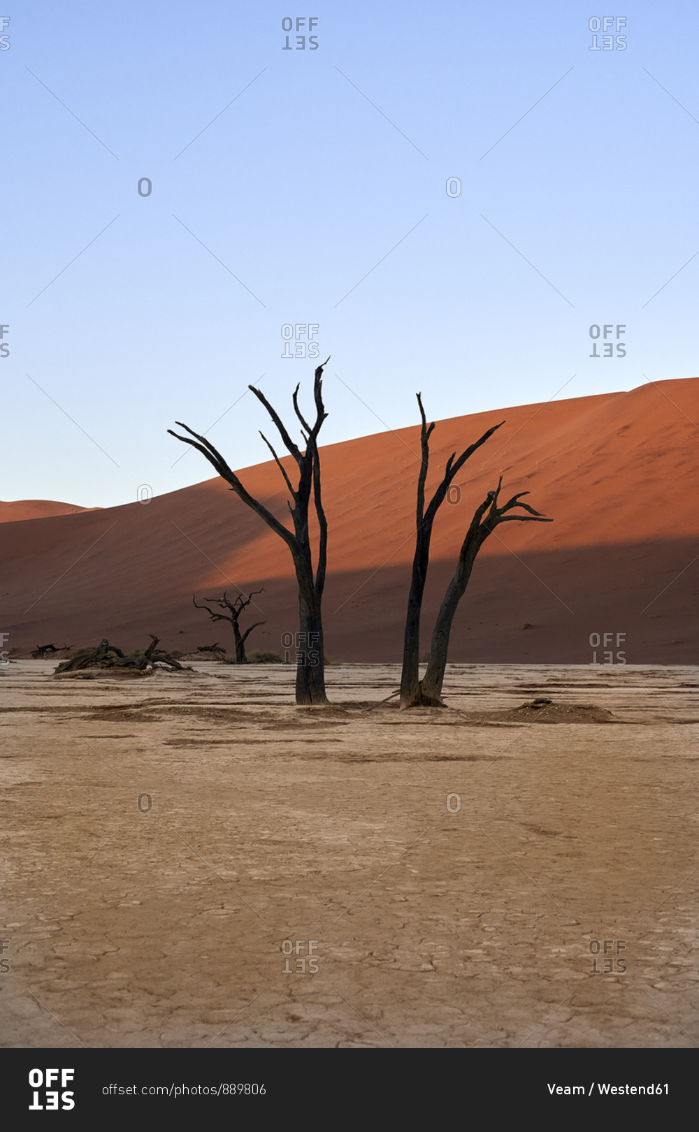 Dead trees and dunes in Deadvlei- Sossusvlei- Namib desert- Namibia
