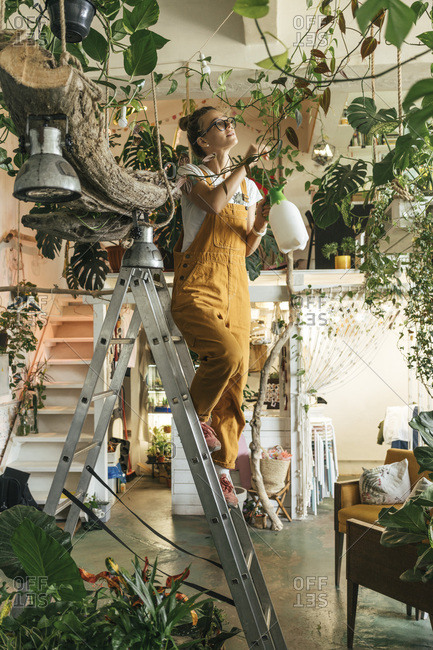 Young woman standing on a ladder caring for plants in a small shop