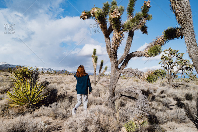 A girl in a vintage sweater hikes through Mojave desert in winter near Joshua Trees