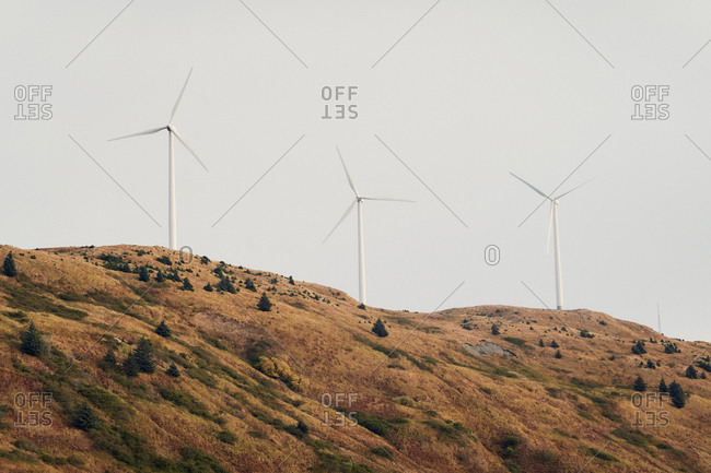 Wind turbines on a hilltop