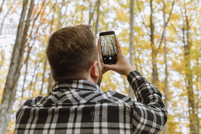 Back view of man in plaid shirt taking photo of autumn trees on mobile phone with woods on blurred background