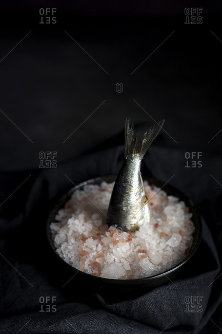 From above savory tail of marine fish sticking out from plate full of salt on black background