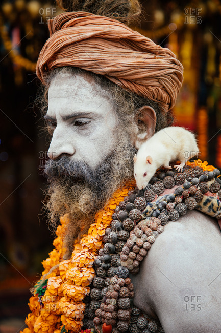 Allahabad city, India - FEBRUARY, 2018: Side view of Hindu sadhu wearing ocher color turban and colorful necklaces with white mouse on shoulder on Praying Kumbh Mela Festival