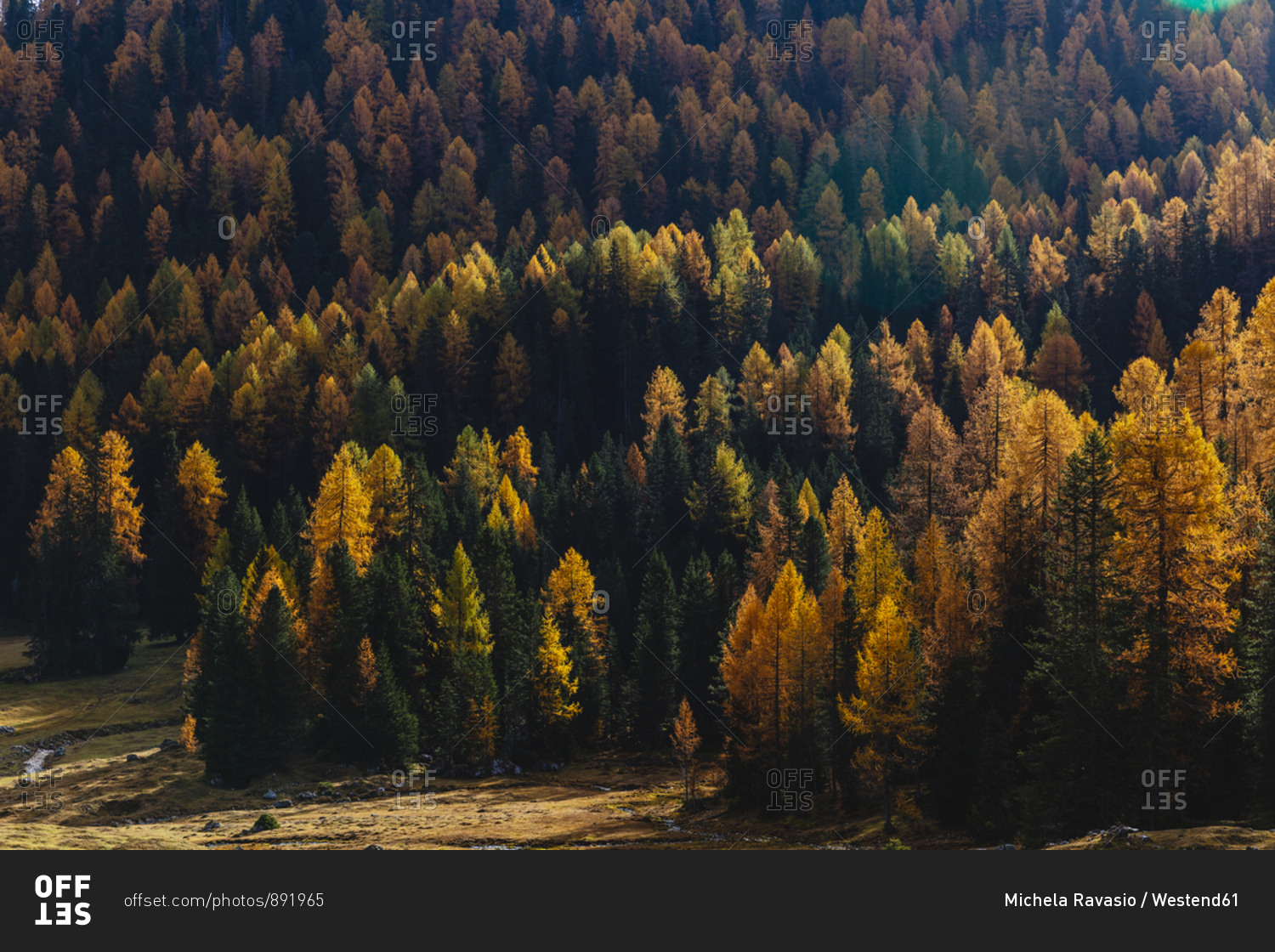 Autumn mountain landscape at the morning light- Dolomites- Cortina- Italy
